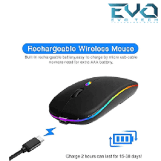 HP W10 Rechargeable Wireless RGB Mouse
